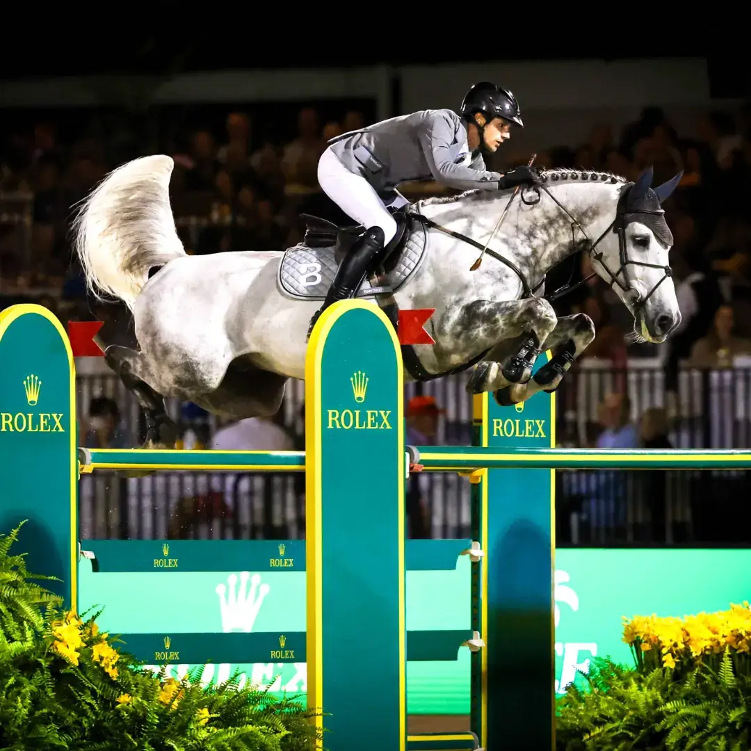 Horse-jumper-1080x1080-1